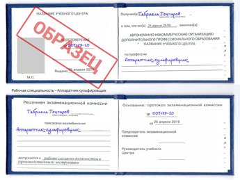Обучение Аппаратчик-сульфировщик