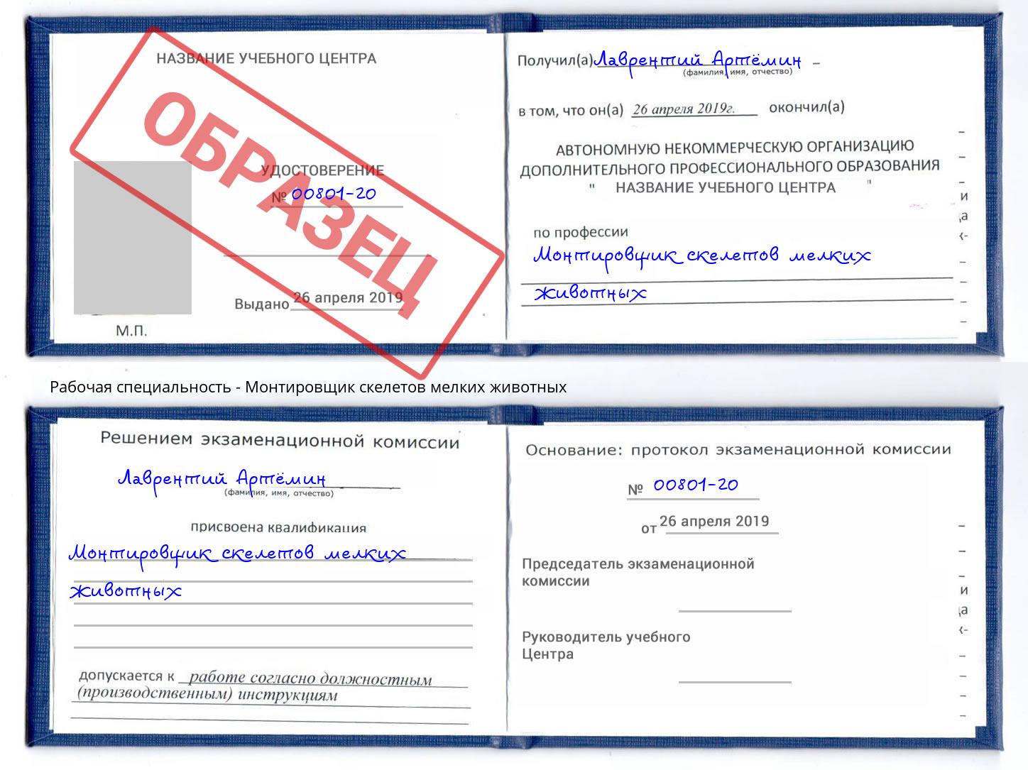 Монтировщик скелетов мелких животных Армавир